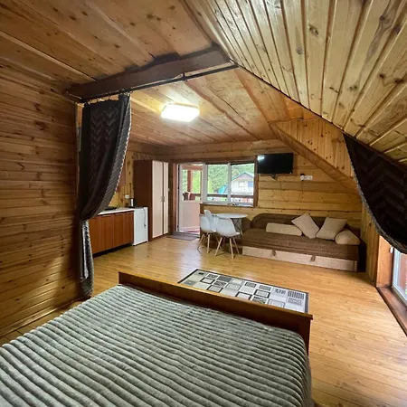 Apartment у віти номер1 Synevyrsʼka Polyana