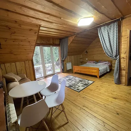 Apartment у віти номер1 Synevyrsʼka Polyana